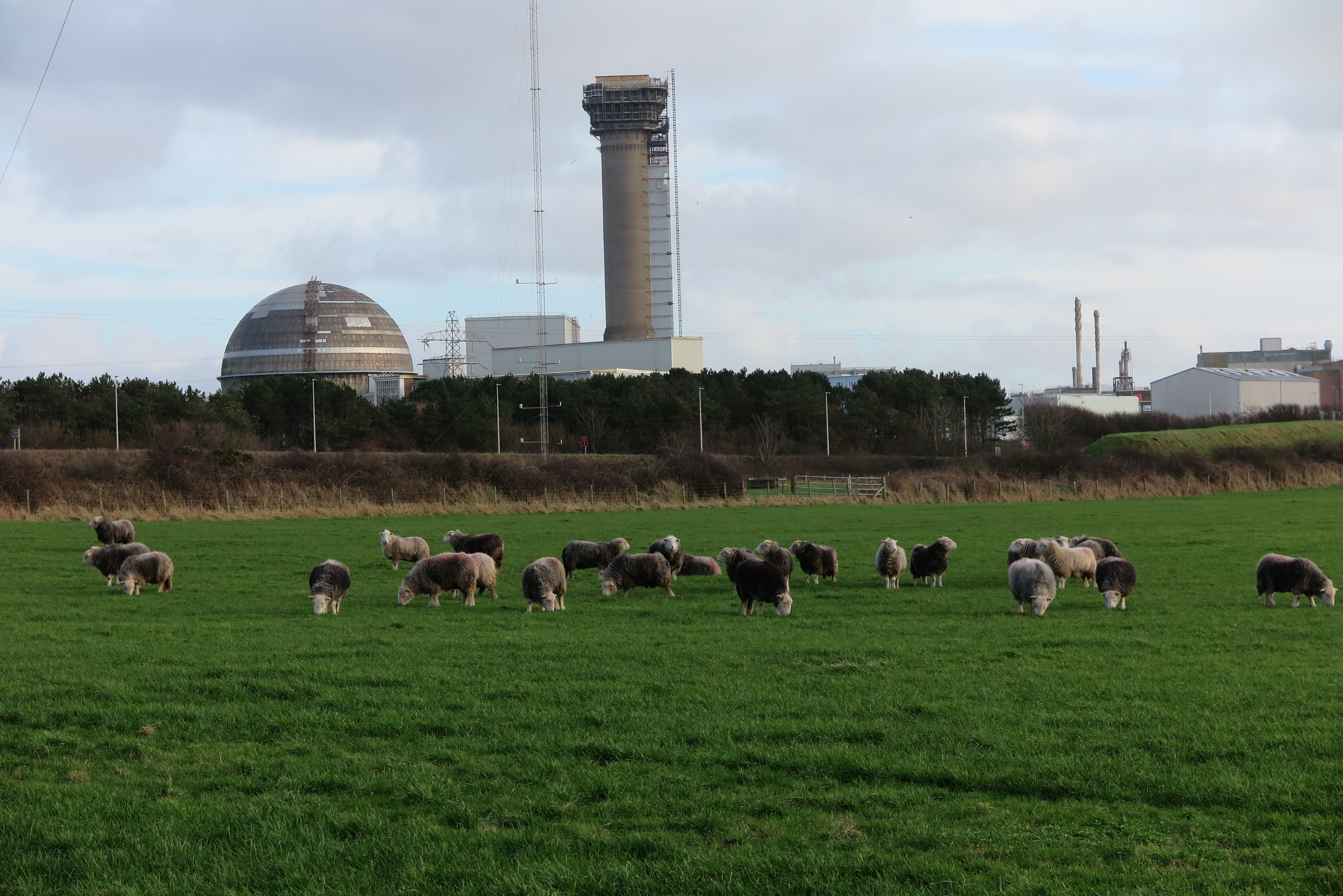 Wolle über den Augen, Sellafield.JPG